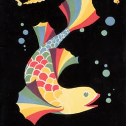 Night fish