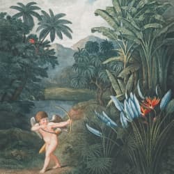 Cupid