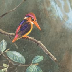Bright Bird